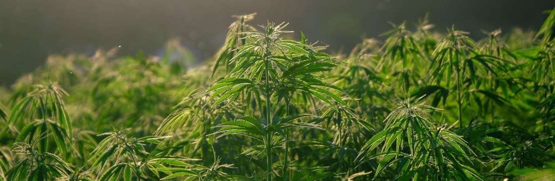 Tonik Cannabis Cover Image